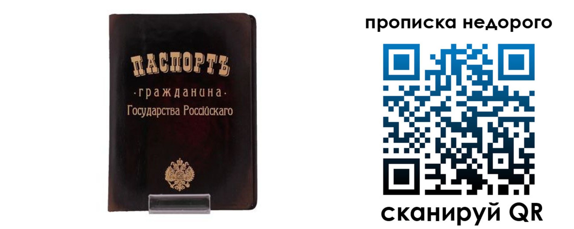 прописка гарантия в Новороссийске